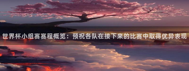 预选赛世界杯:世界杯小组赛赛程概览:预祝各队在接下来的比赛中取得优异表现