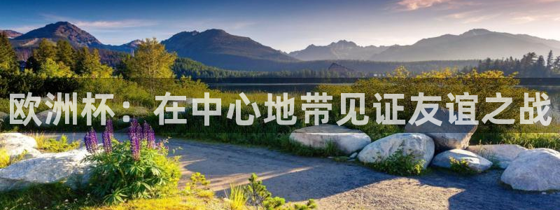 2026世界杯赛程:欧洲杯:在中心地带见证友谊之战