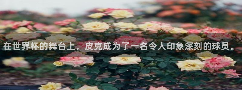世界杯直播时间:在世界杯的舞台上,皮克成为了一名令人印象深刻的球员。