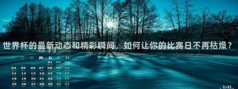 2026世界杯:世界杯的最新动态和精彩瞬间,如何让你的比赛日不再枯燥?