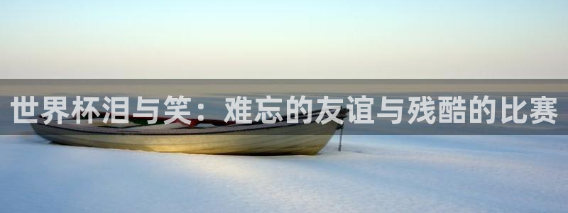 2026世界杯中国队:世界杯泪与笑:难忘的友谊与残酷的比赛