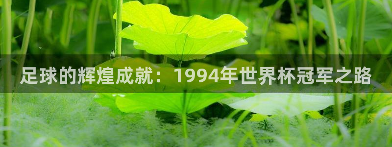 世界杯球赛:足球的辉煌成就:1994年世界杯冠军之路