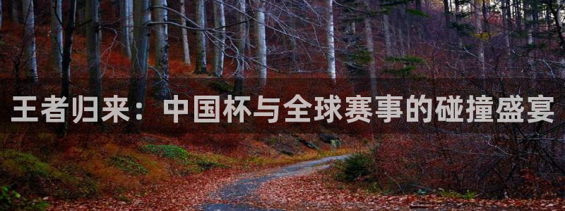 世界杯直播观看:王者归来:中国杯与全球赛事的碰撞盛宴