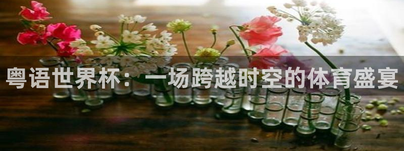 2026世界杯官网:粤语世界杯:一场跨越时空的体育盛宴