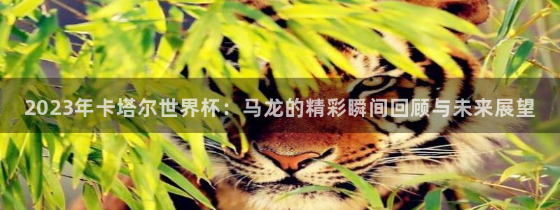 世界杯足球赛2026:2023年卡塔尔世界杯:马龙的精彩瞬间回顾与未来展望