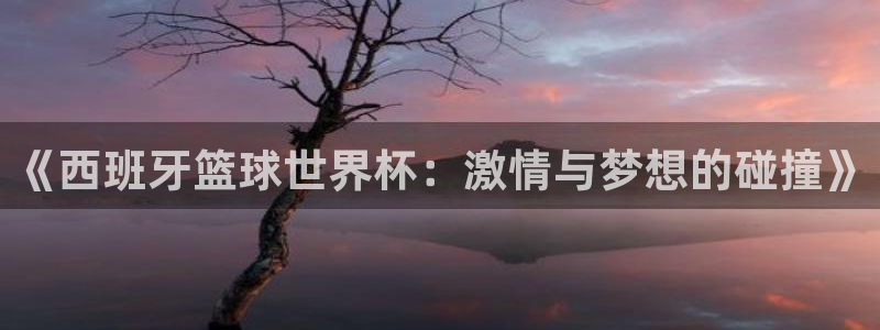 世界杯直播观看:《西班牙篮球世界杯:激情与梦想的碰撞》