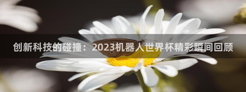 欧洲世界杯预选赛:创新科技的碰撞:2023机器人世界杯精彩瞬间回顾