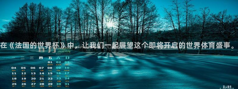2026世界杯32强对阵图表:在《法国的世界杯》中,让我们一起展望这个即将开启的世界体育盛事。