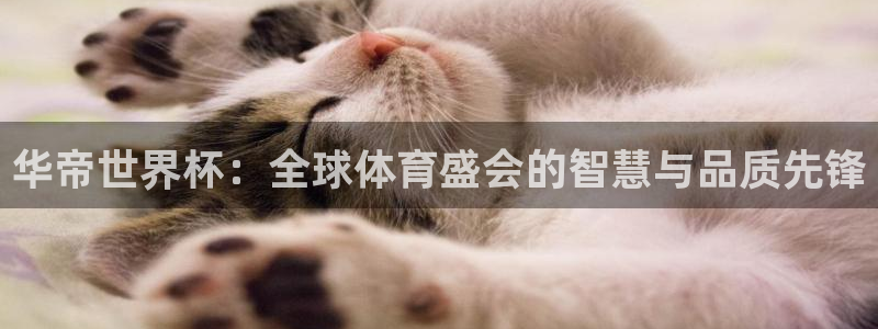 世界杯预选赛亚洲:华帝世界杯:全球体育盛会的智慧与品质先锋