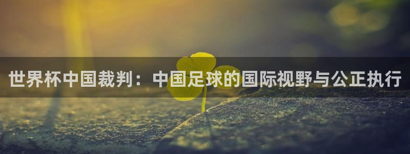 2026世界杯日期:世界杯中国裁判:中国足球的国际视野与公正执行